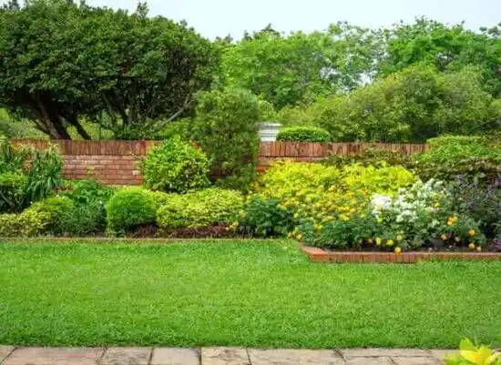 landscaping services Spindale